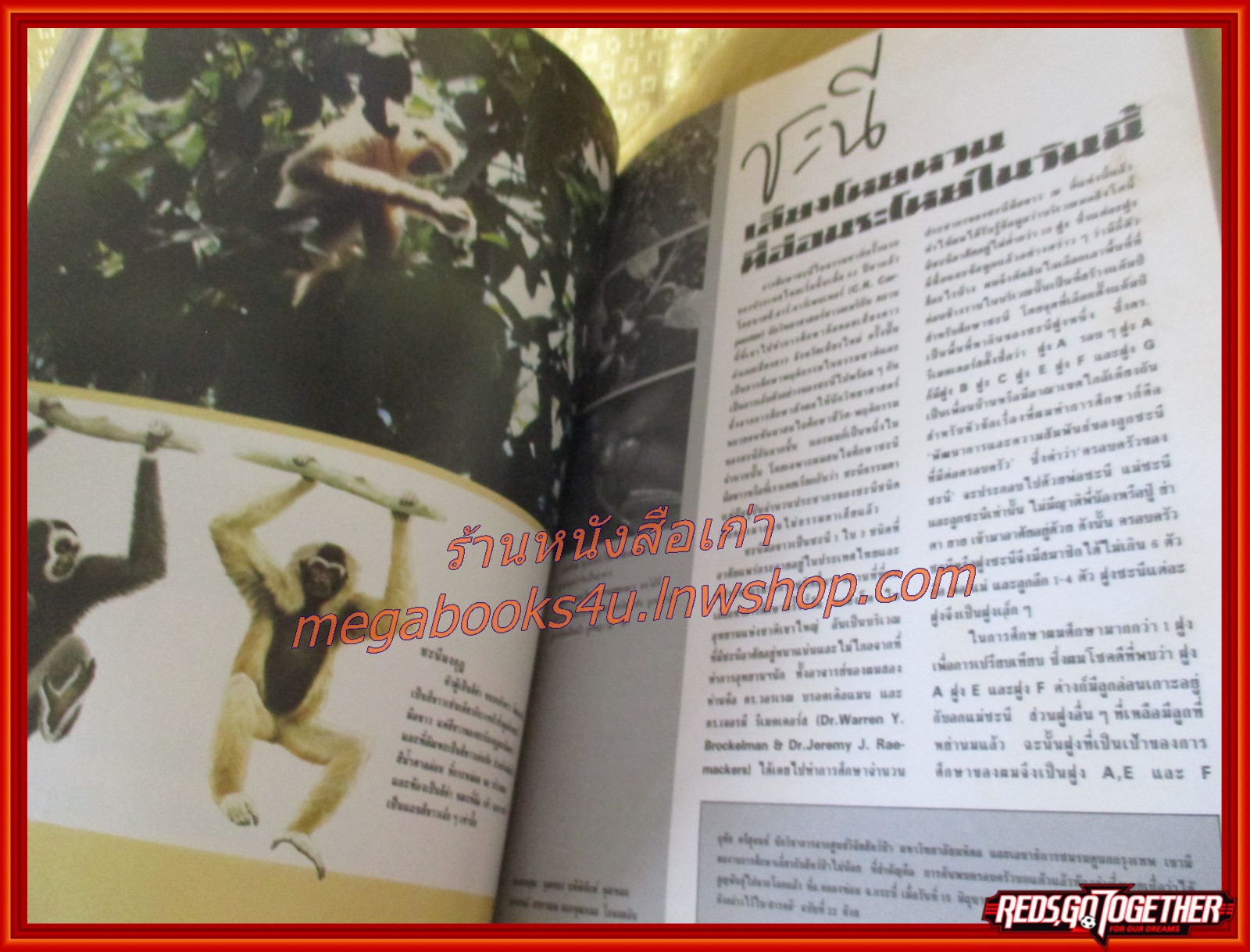 นิตยสารสารคดี ฉบับที่048 ปีที่04 ก.พ. 2532,ฝาแฝด,ชะนีมือขาว,ใบลาน