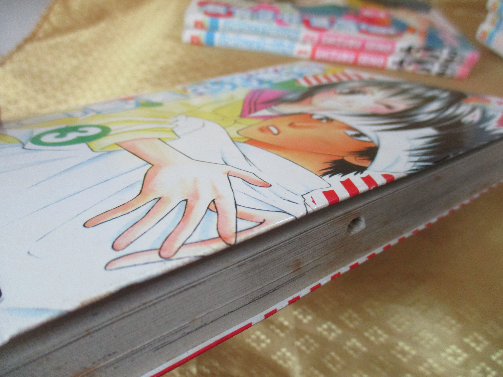 การ์ตูนเช่า รักแท้ของเจ้าแม่นักบู๊ ครบชุด13เล่มจบ ขาดเล่ม4 โดย SHIZURU SEINO สนพ.บงกช