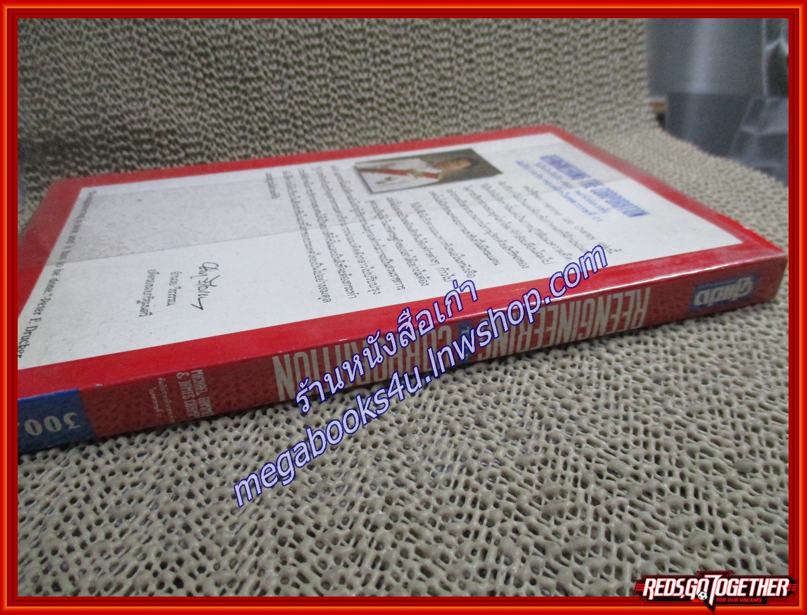 รีเอ็นจิเนียริ่ง เดอะ คอร์เปอเรชั่น /คู่แข่ง