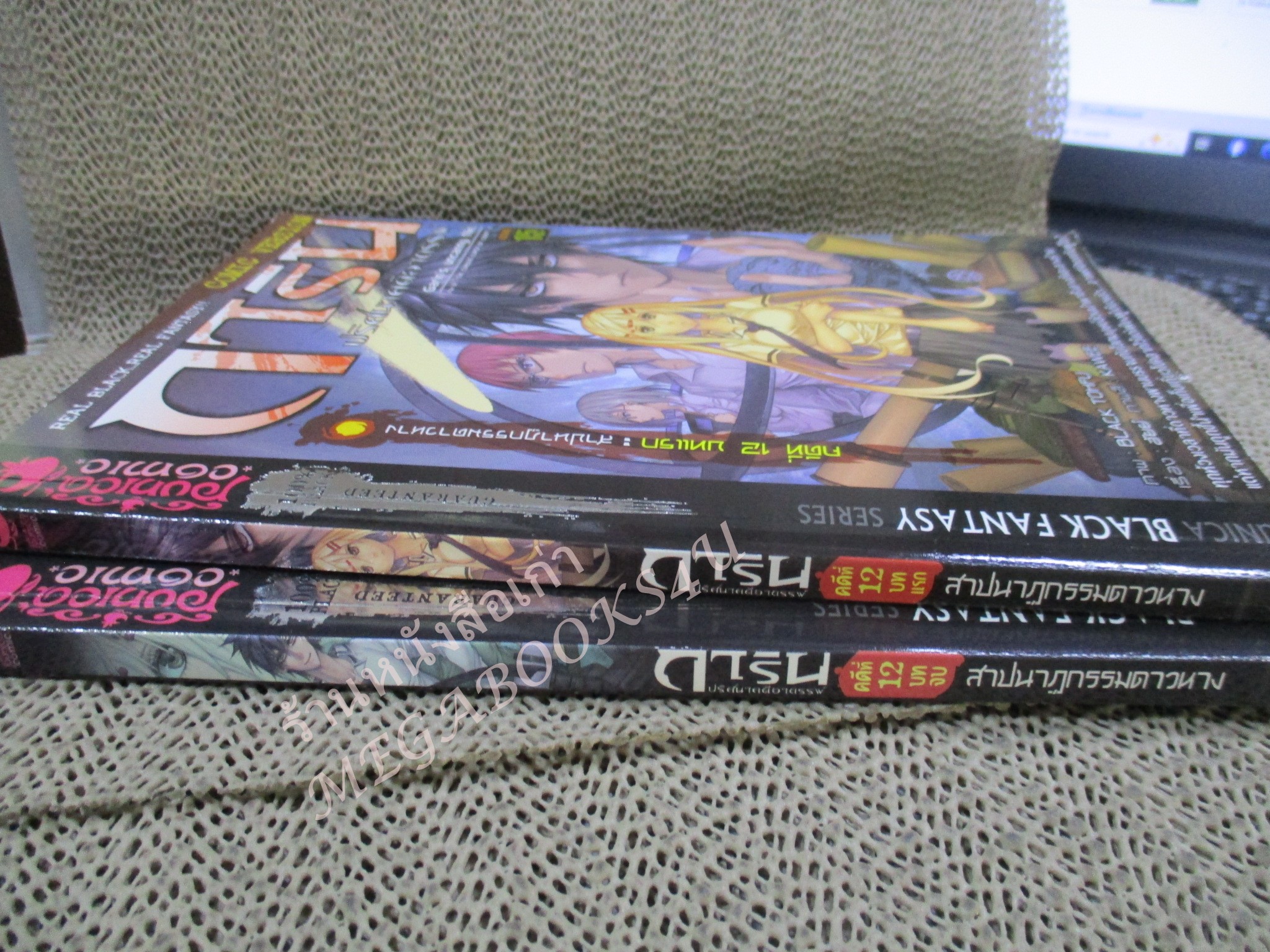 การ์ตูน การิน ปริศนาคดีอาถรรพ์ ภาค คดีที่ 12 สาปนาฏกรรมดาวหาง (ภาคแรก+ภาคจบ รวม2เล่ม) / อัยย์ / Punica /