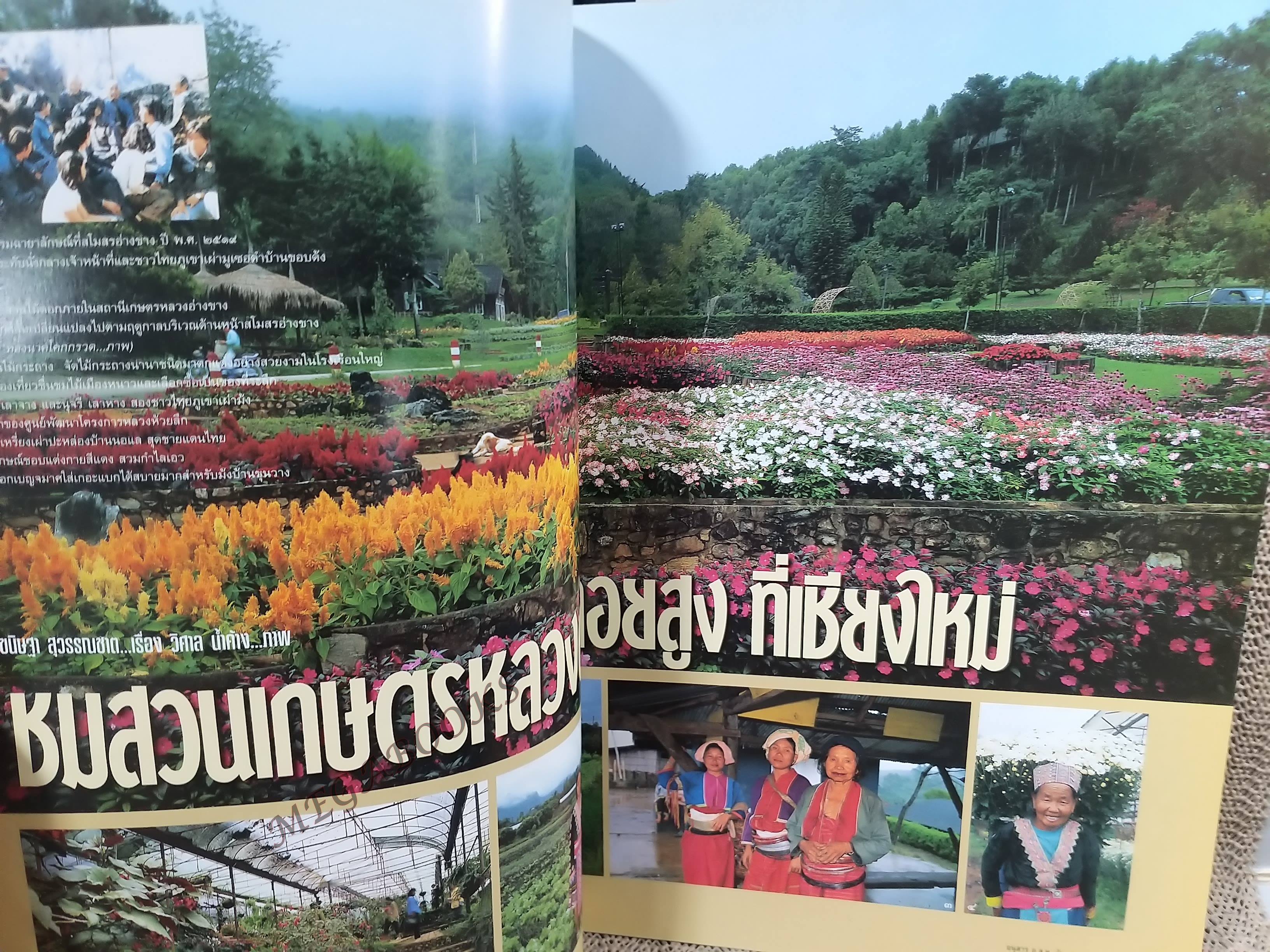 อนุสาร อ.ส.ท. ปี42 ธ.ค.2544 เฉลิมพระชนมพรรษา ภูหินร่องกล้า