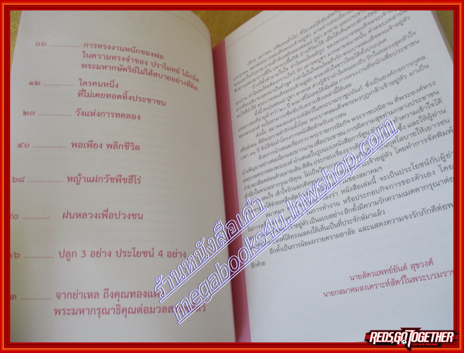 King in my Heart น้อมรำลึกในพระมหากรุณาธิคุณ สืบสานพระราชปณิธานสู่เยาวชน (การ์ตูน)