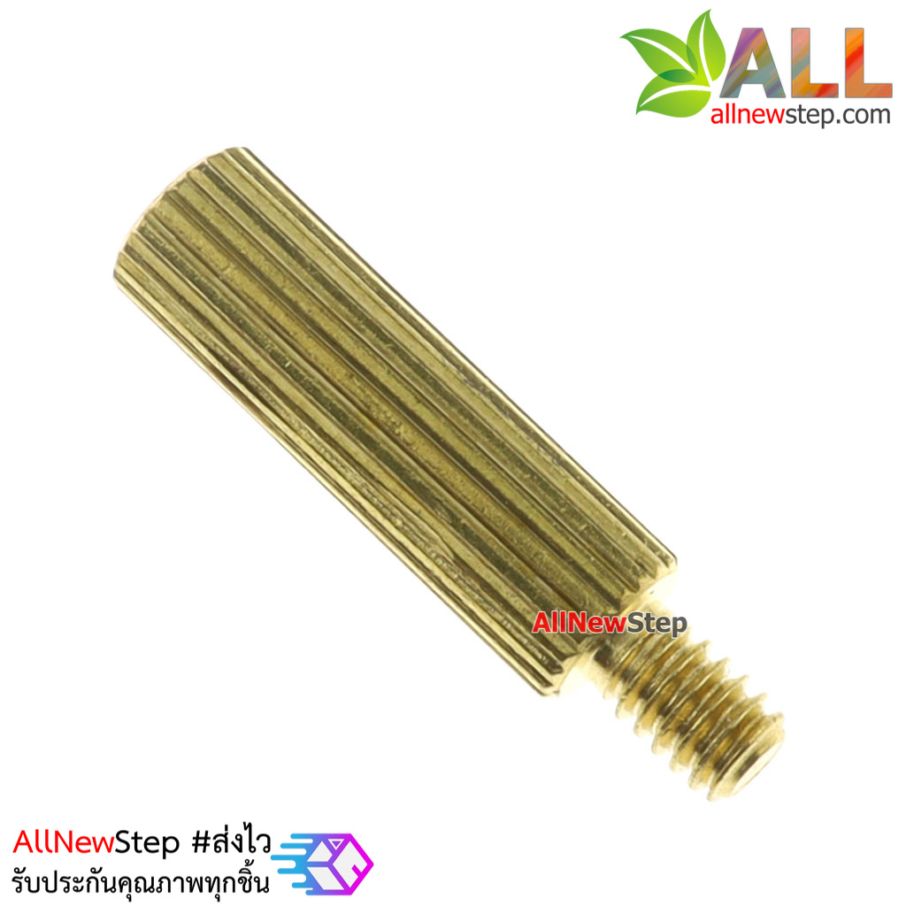 น็อตทองเหลือง NUT M2 ขนาด 10+3mm