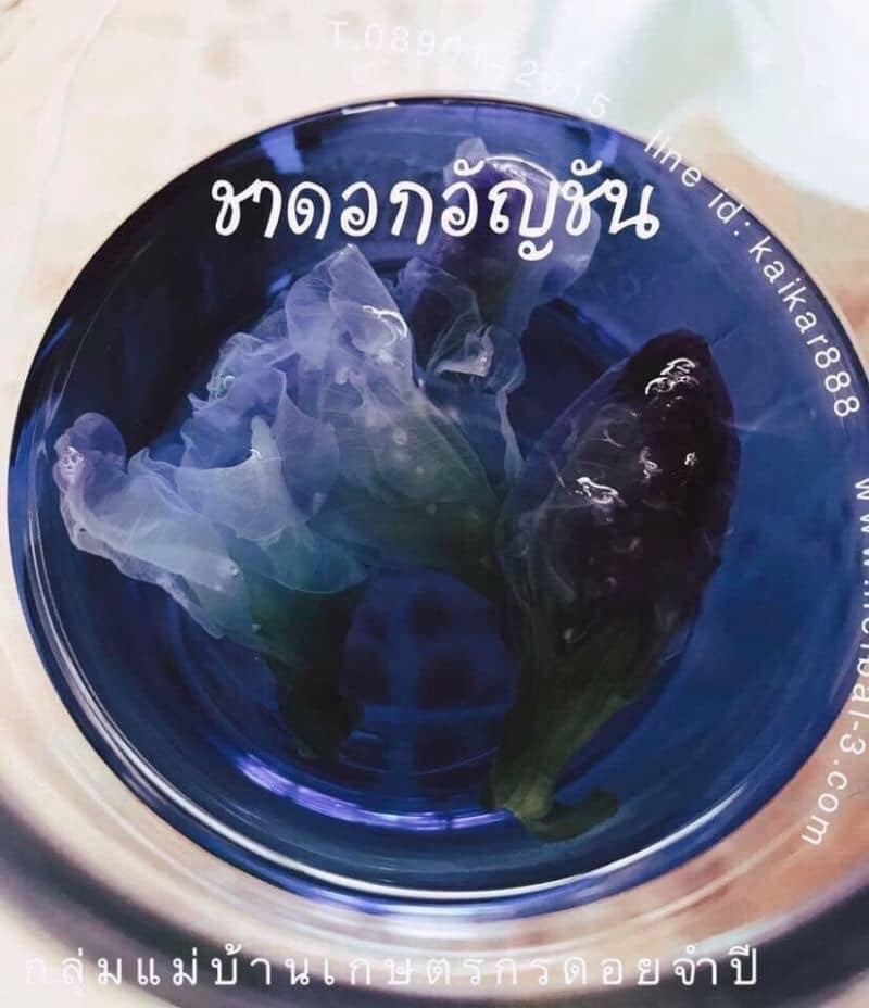 ดอกอัญชันอบแห้ง (ชนิดซองชง)