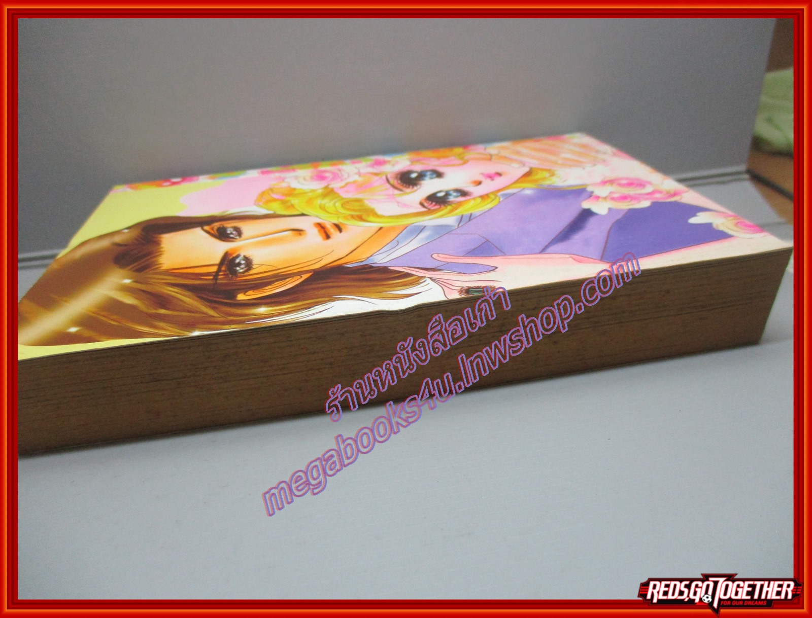 การ์ตูนบ้าน SPECIAL ROMANCE สเปเชี่ยลโรมานซ์ 3 เล่มเดียวจบ สนพ.หมึกจีน