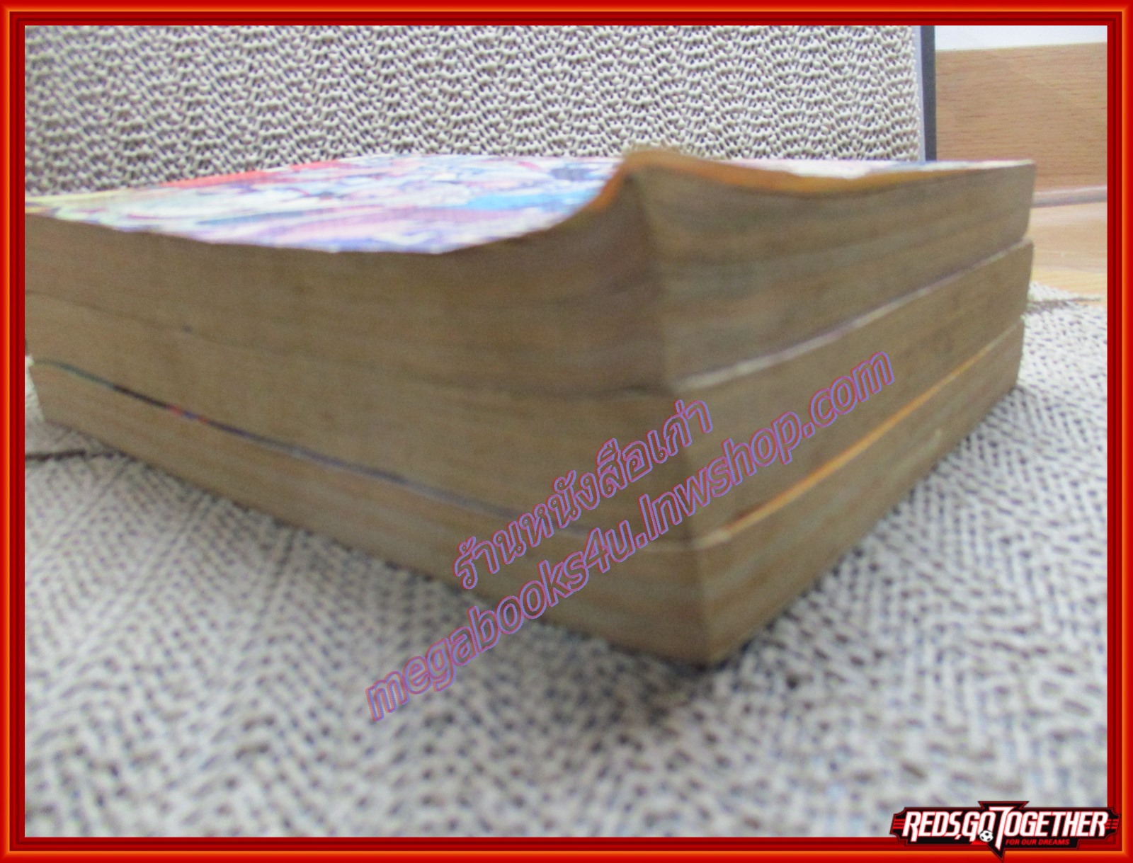 การ์ตูนบ้าน อสูรน้อยจอมซน ครบชุด3เล่มจบ สนพ.NEW PROJECT