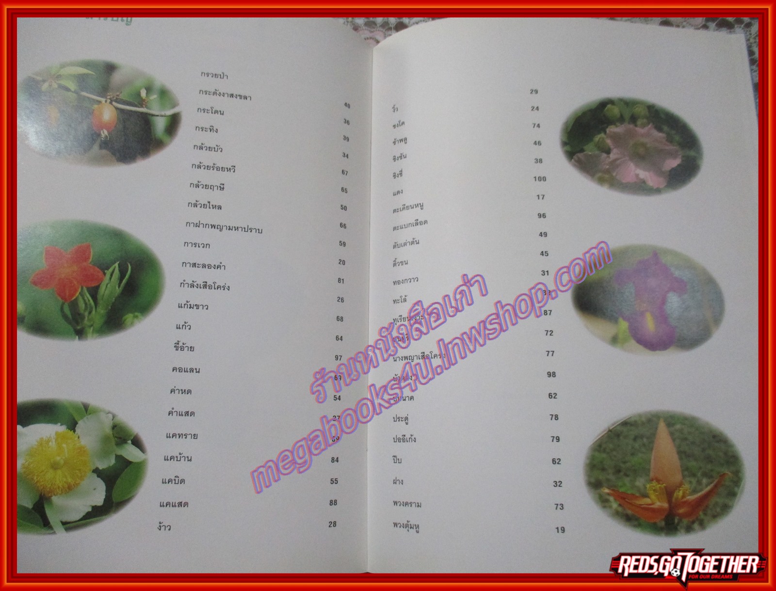 สวนพฤกษศาสตร์สมเด็จพระนางเจ้าสิริกิตติ์ QUEEN SIRIKIT BOTANIC GARDEN เล่ม1 องค์การสวนพฤกษศาสตร์