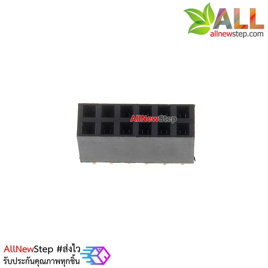 2.54mm pitch female double row female socket 2x6 pin