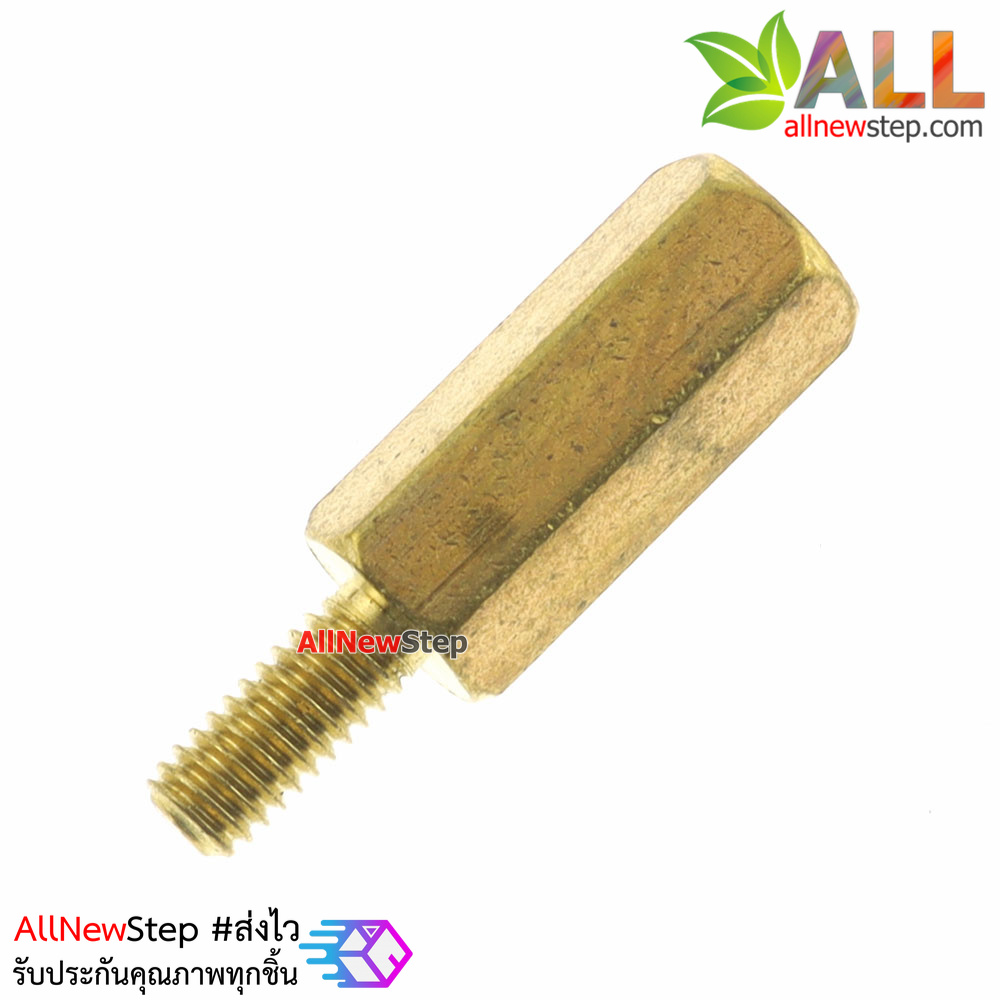 Nut screw m2.5 น็อตสกรู M2.5 ขนาด 11+6mm