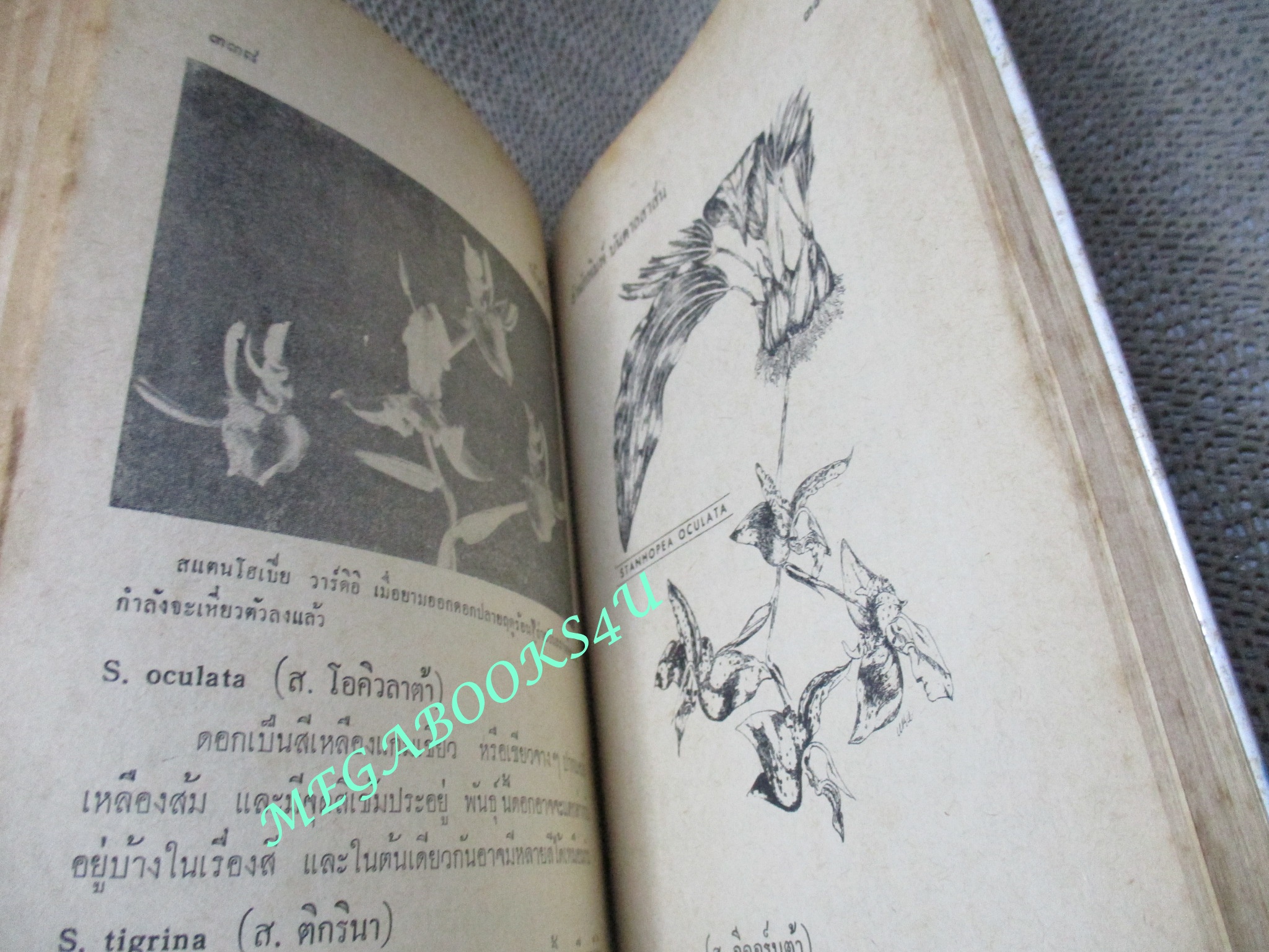 วิธีปลูกและขยายพันธุ์ กล้วยไม้ / รพีภรณ์ ปี2516