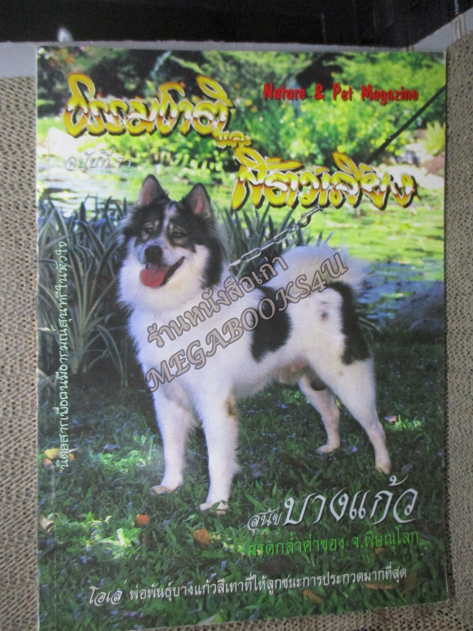 นิตยสาร ธรรมชาติและสัตว์เลี้ยง ฉบับที่071 ปี2539 ปก สุนัขบางแก้ว