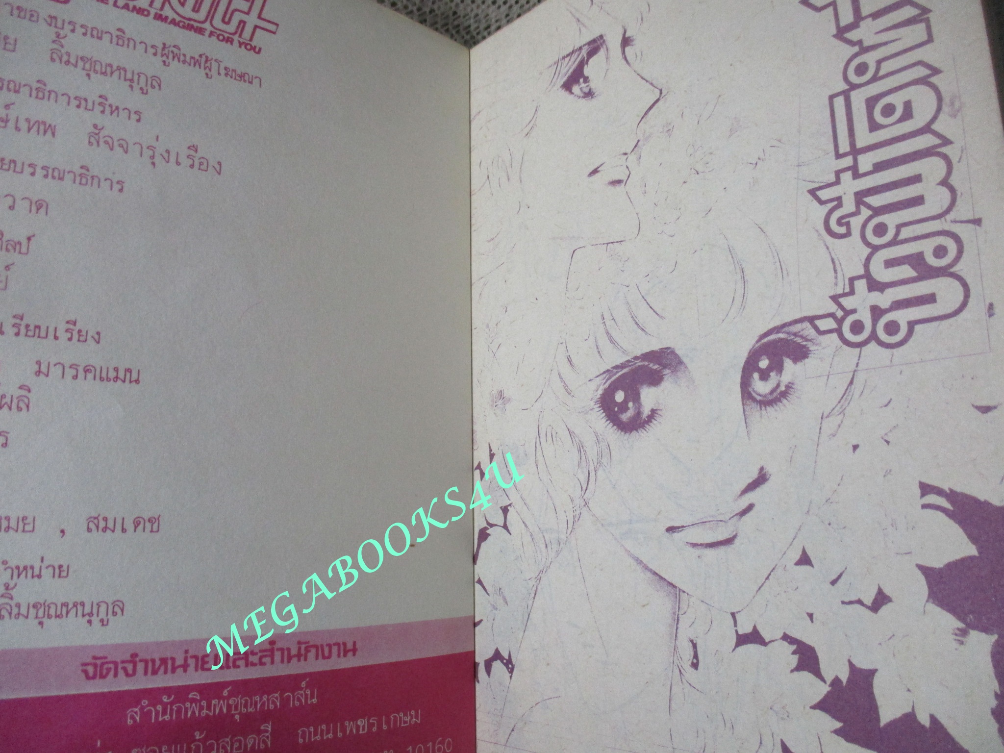 ชั่วฟ้าดินสลาย / อิทาโมโตะ โคยูโกะ / เล่มเดียวจบ