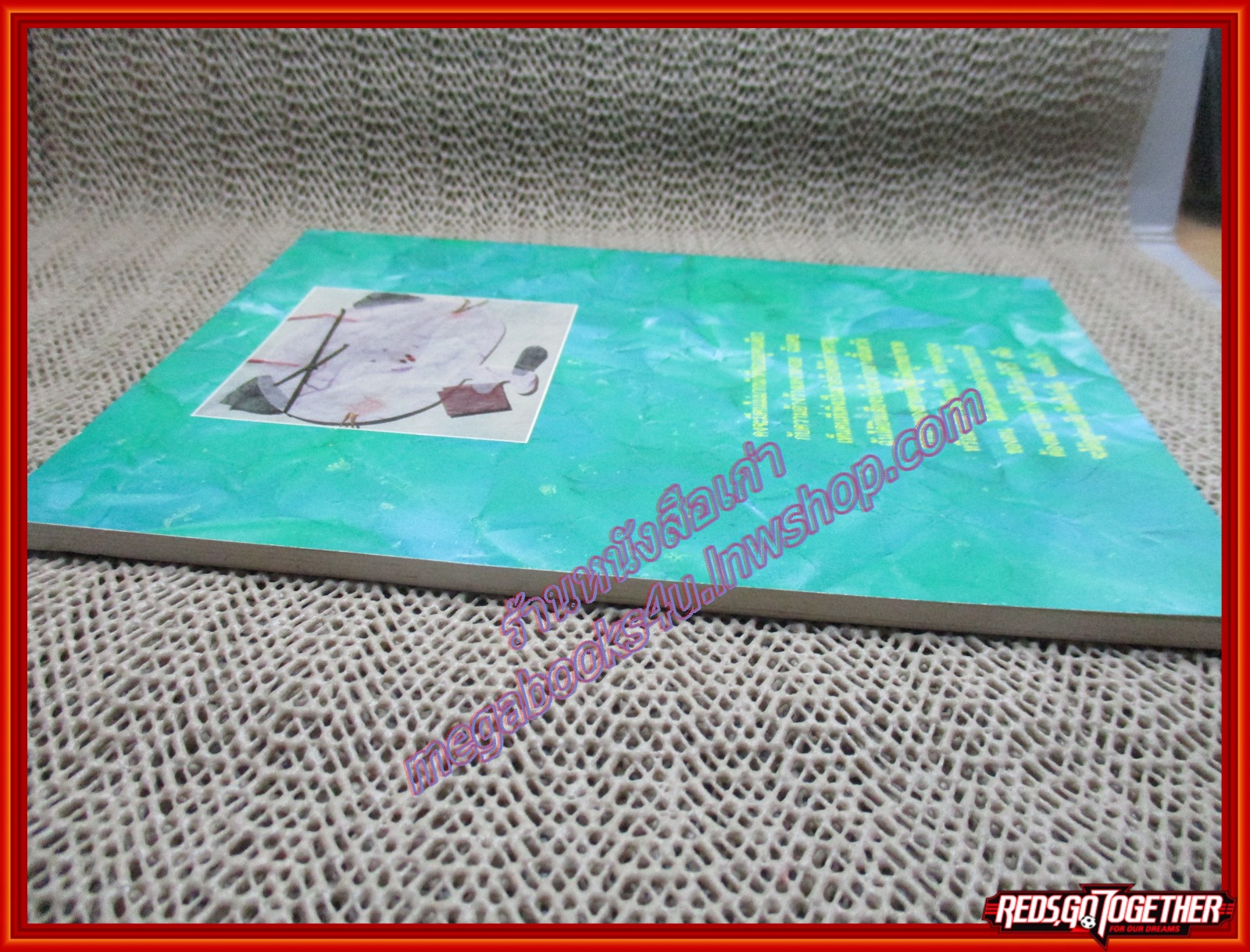 อยู่คนเดียวก็ได้สบายดี/ลินซ์ ซานฮาน/ก.ไก่ (หนังสือบ้าน มือสอง) (สภาพ85-95%)