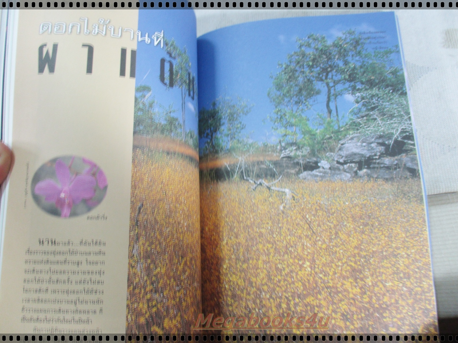 นิตยสารสารคดี ฉบับที่153 พฤศจิกายน 2540 ควายป่า,นาคา,อาจารย์ปู่,เที่ยวผาแต้ม,