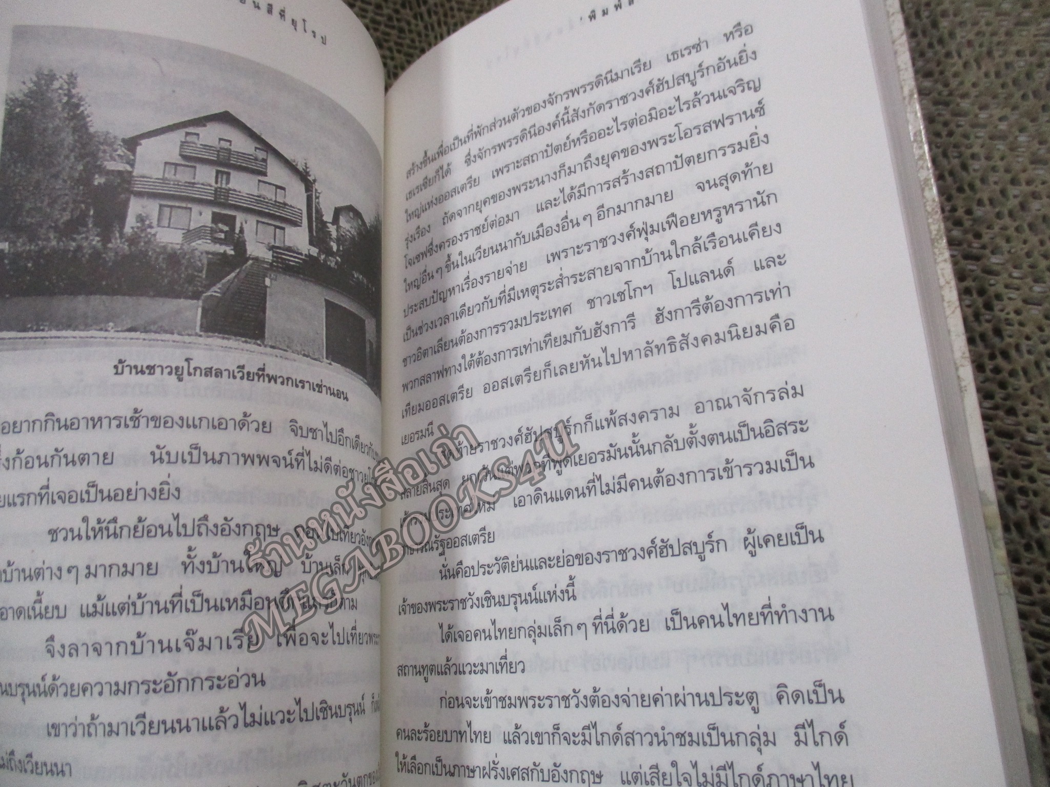 ใบไม้เปลี่ยนสีที่ยุโรป / พิมพ์สี / แพรว / รูปเล่มดี สันกระดาษเปื้อนฝุ่นเล็กน้อย (สารคดีท่องเที่ยว)