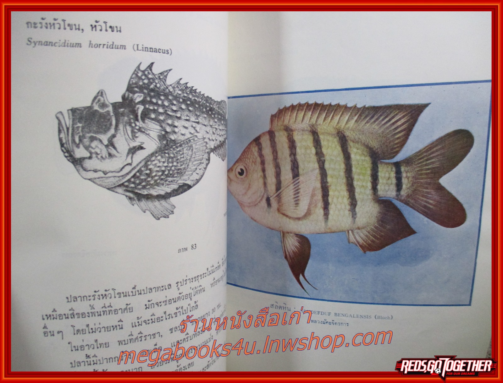 ปลาไทย อนุสรณ์งานพระราชทานเพลิงศพ หลวงมัศย์จิตรการ (ประสพ ตีระนันทน์)