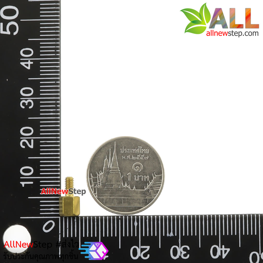 Nut screw m2.5 น็อตสกรู M2.5 ขนาด 4+4mm