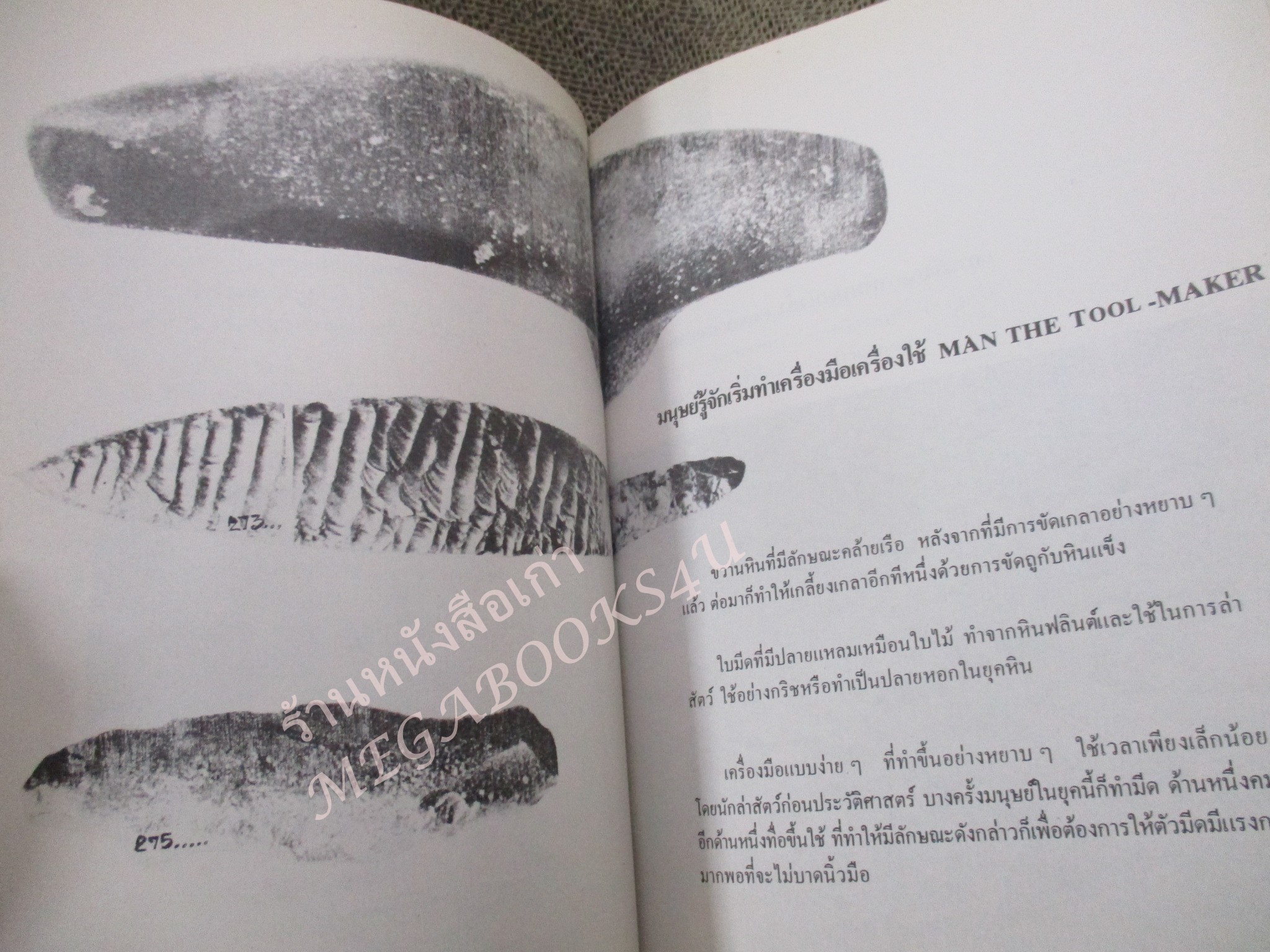 โลกยุคดึกดำบรรพ์ / โรงเรียนส่งเสริมวิชาชีพฯ / สภาพดี / แผ่นรองปกมีคราบน้ำนิด