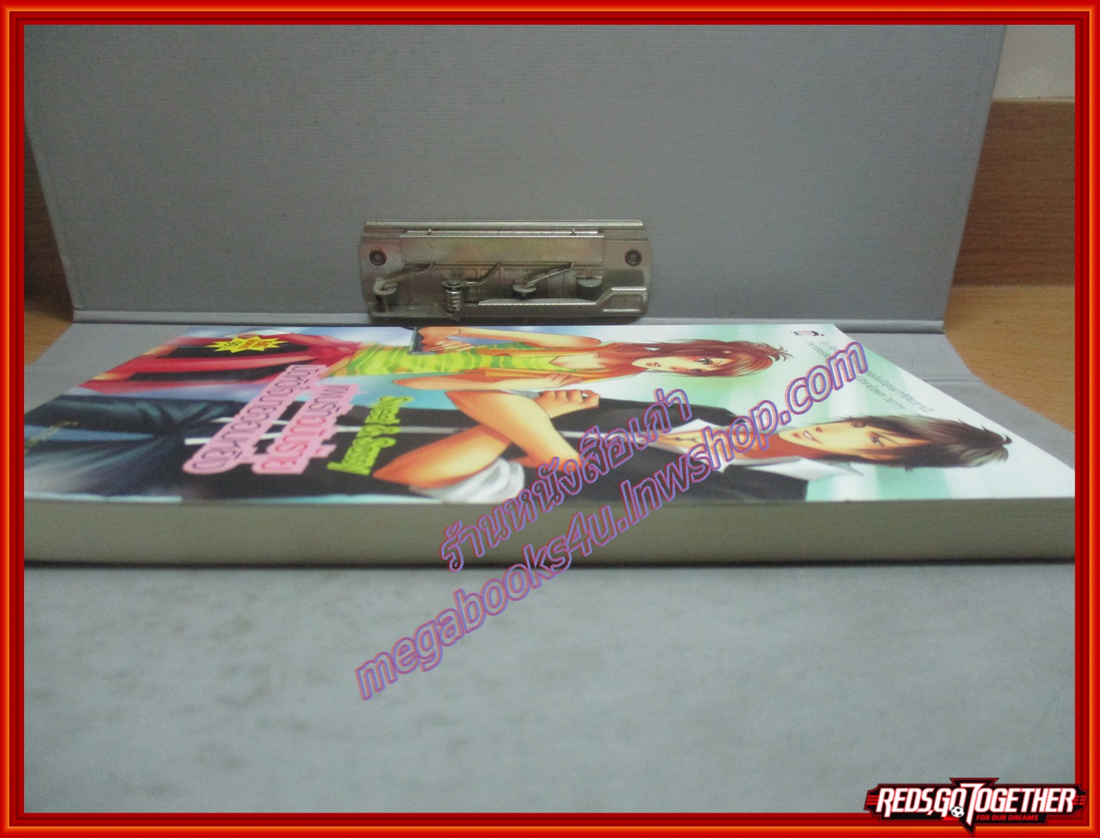 แผนรักฉบับร้าย มัดหัวใจนายจอมหยิ่ง