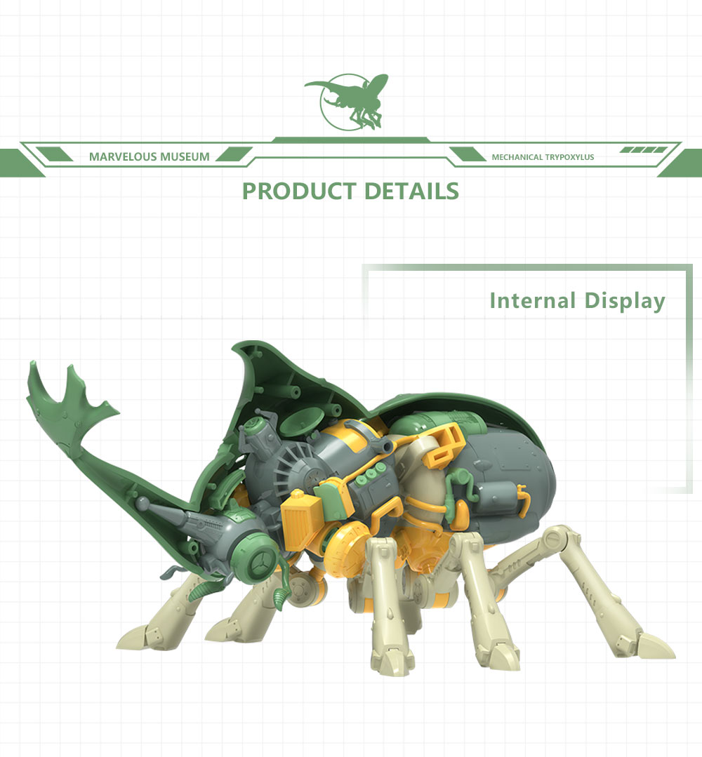 MARVELOUS MUSEUM MECHANICAL TRYPOXYLUS