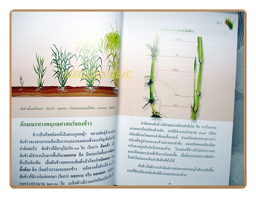 สารานุกรมไทยสำหรับเยาวชนฉบับเสริมการเรียนรู้ เล่ม16 โดยพระราชประสงค์ในพระบาทสมเด็จพระเจ้าอยู่หัว