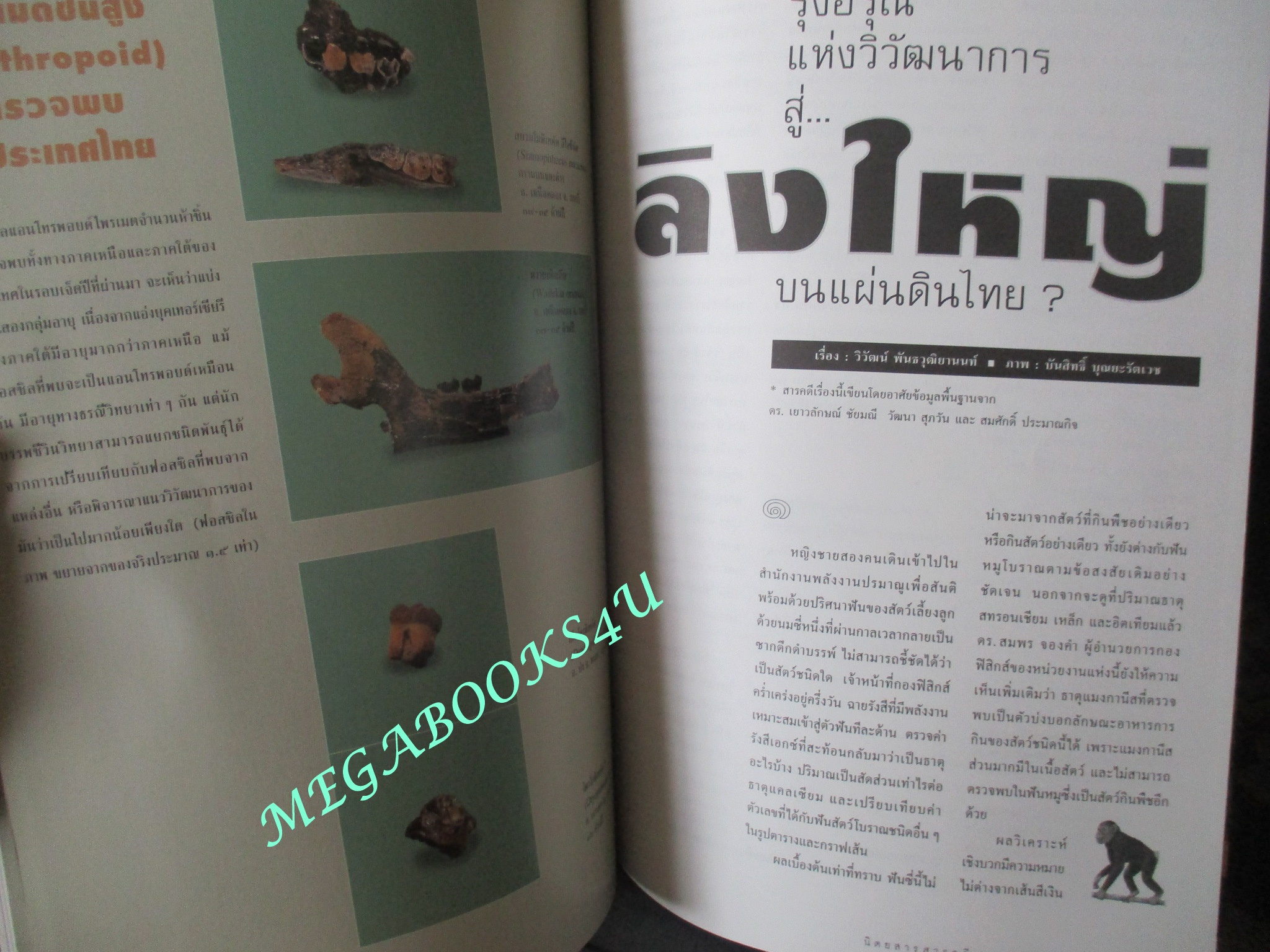 นิตยสารสารคดี ฉบับที่162 สิงหาคม 2541 รุ่งอรุณแห่งวิวัฒนาการสู่ลิงใหญ่บนแผ่นดินไทย การค้นหาปริศนามนุษย์