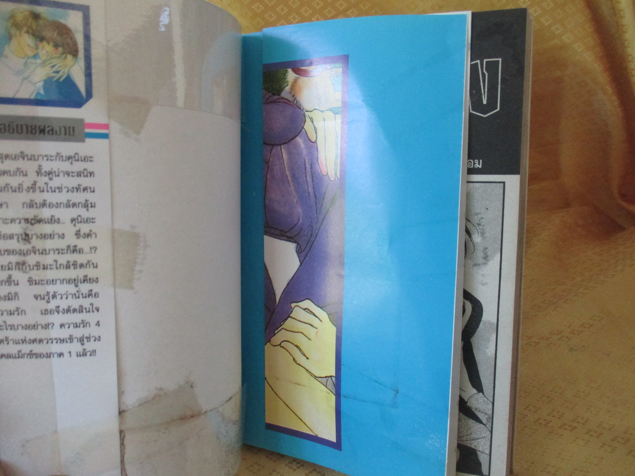 การ์ตูนเช่า ศึกรักพันธุ์นักเลง ครบชุด12เล่มจบ สนพ.วิบูลย์กิจ ห่อปก ไม่แม็กซ์