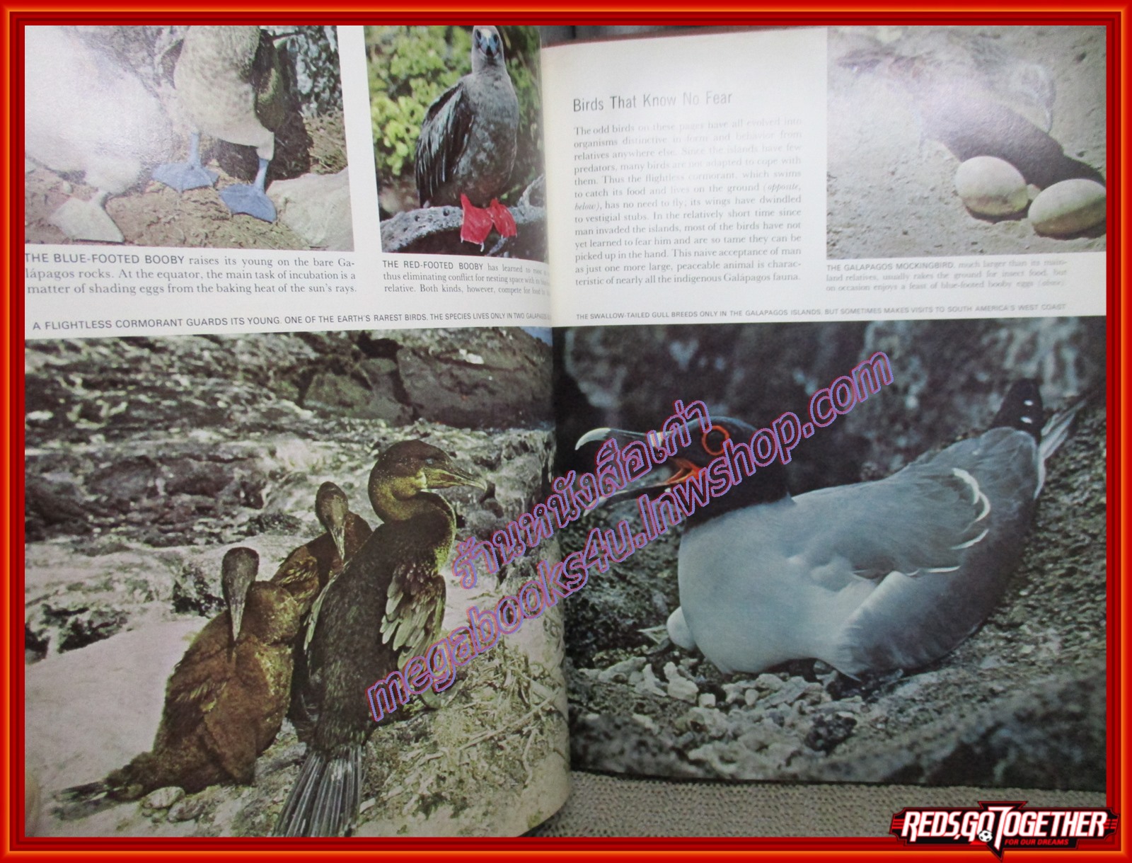 หนังสือ EVOLUTION LIFE NATURE LIBRARY (ภาษาอังกฤษ) ตำหนิ ขอบปกแหว่งนิด