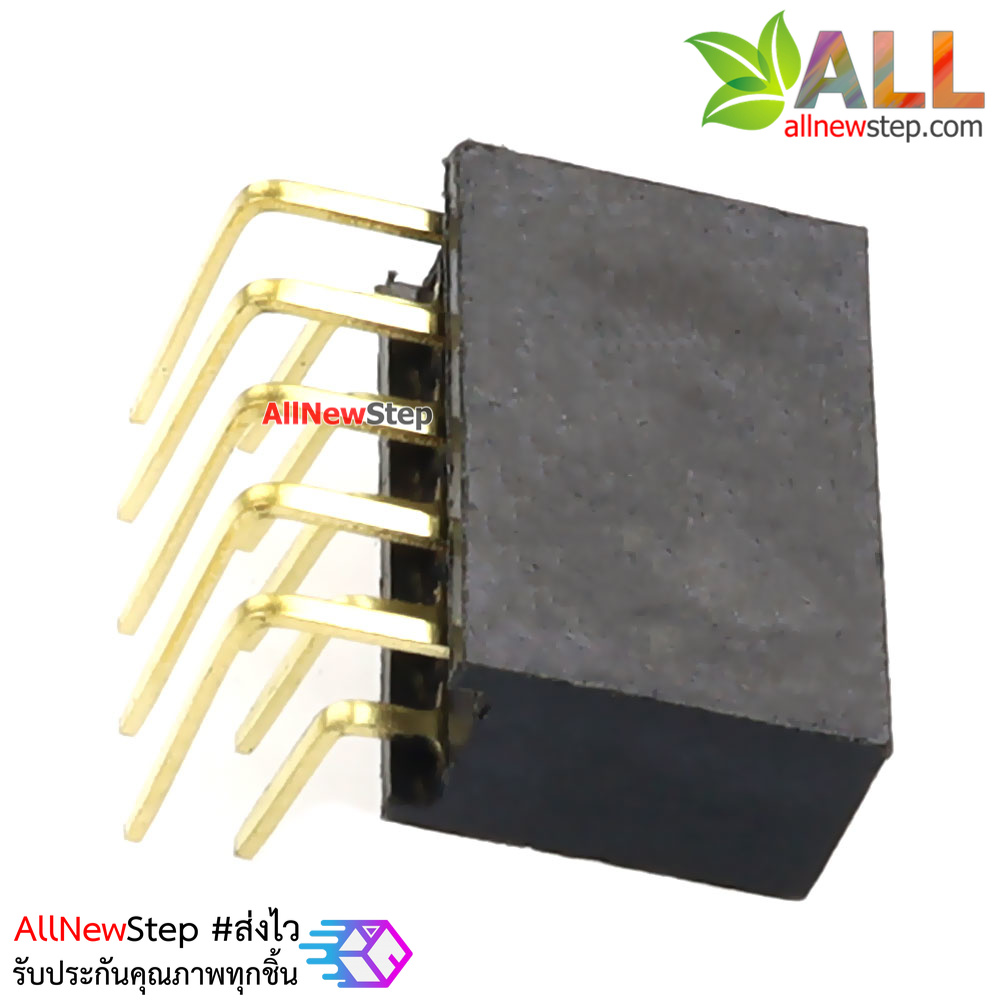 ขาก้างปลาตัวเมียแบบฉาก 2x5 ขา Double Row Hole Jack 2x5 PIN Header 2.54mm