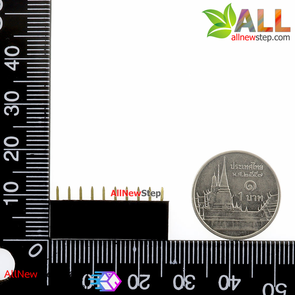 Pin header Single row 10p female 1x10P spacing 2.54mm จำนวน 1 ชิ้น