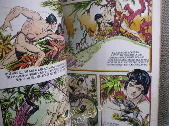 การ์ตูนคลาสสิค ทาร์ซาน TARZAN OF THE APES - Burne Hogarth ภาคภาษาอังกฤษ สภาพดี