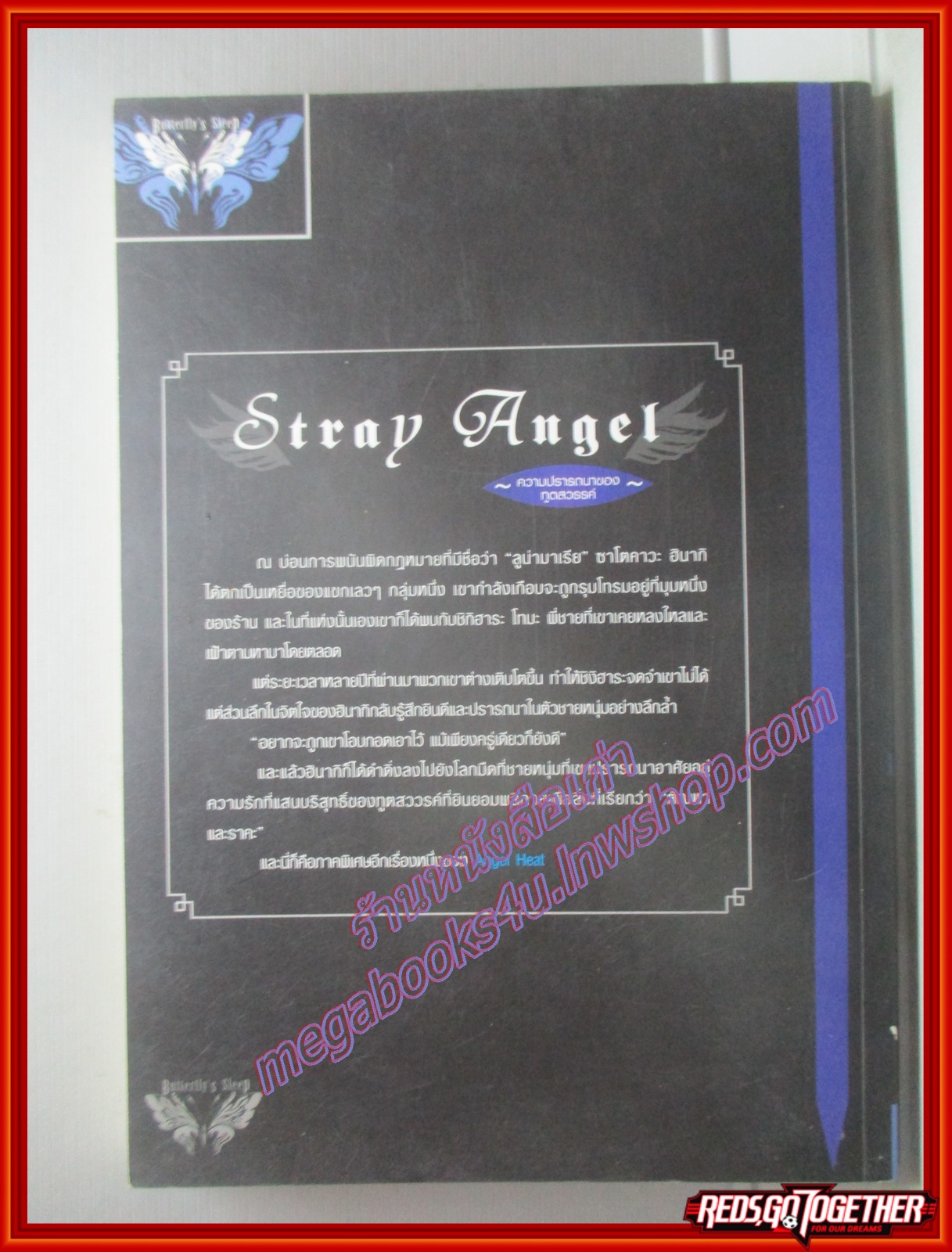 นิยายวาย stray angel