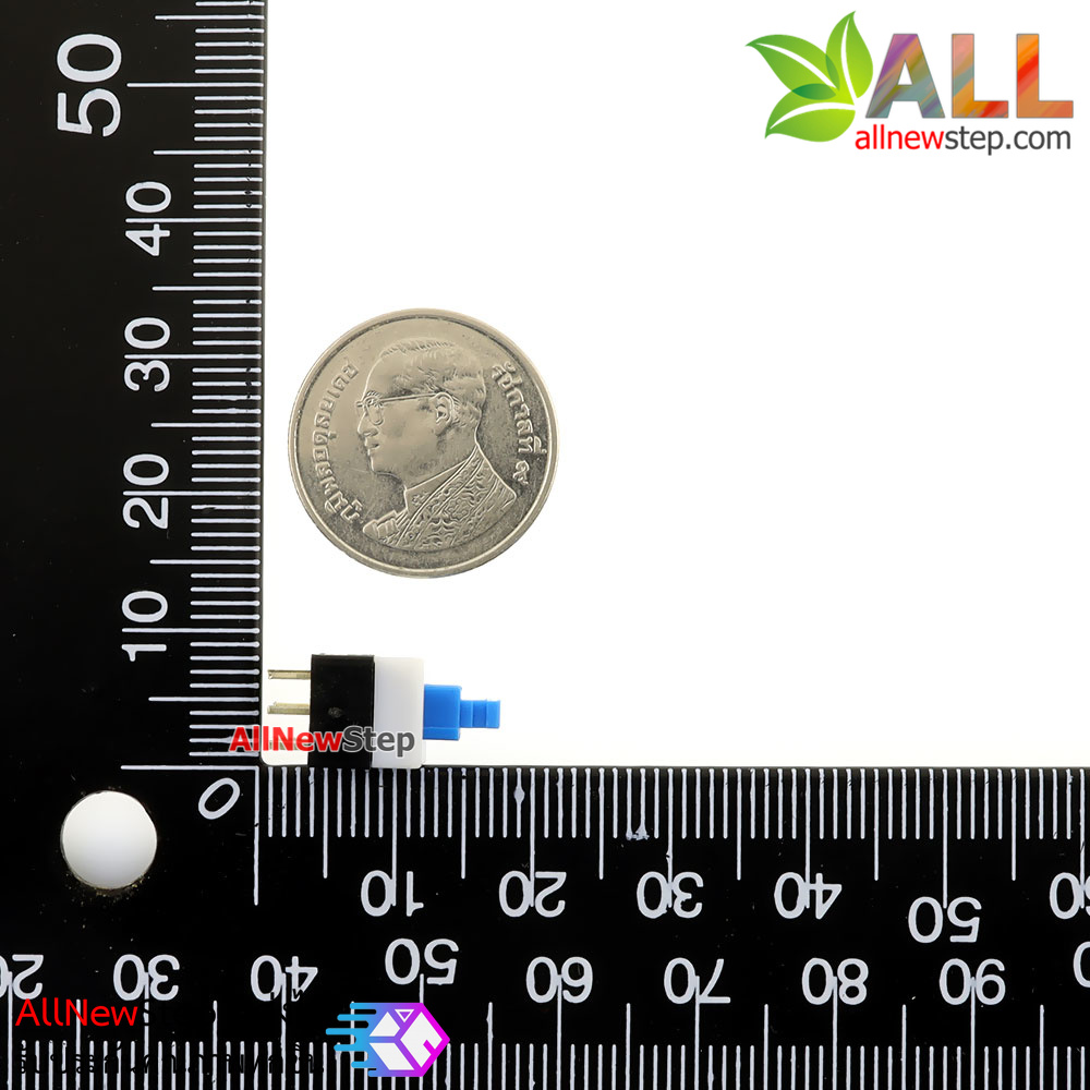 สวิตช์กดติดกดดับ lock switch