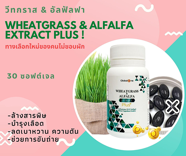 ผักเม็ด โฉมใหม่ Globalone Wheatgrass & Alfalfa Extract Plus 