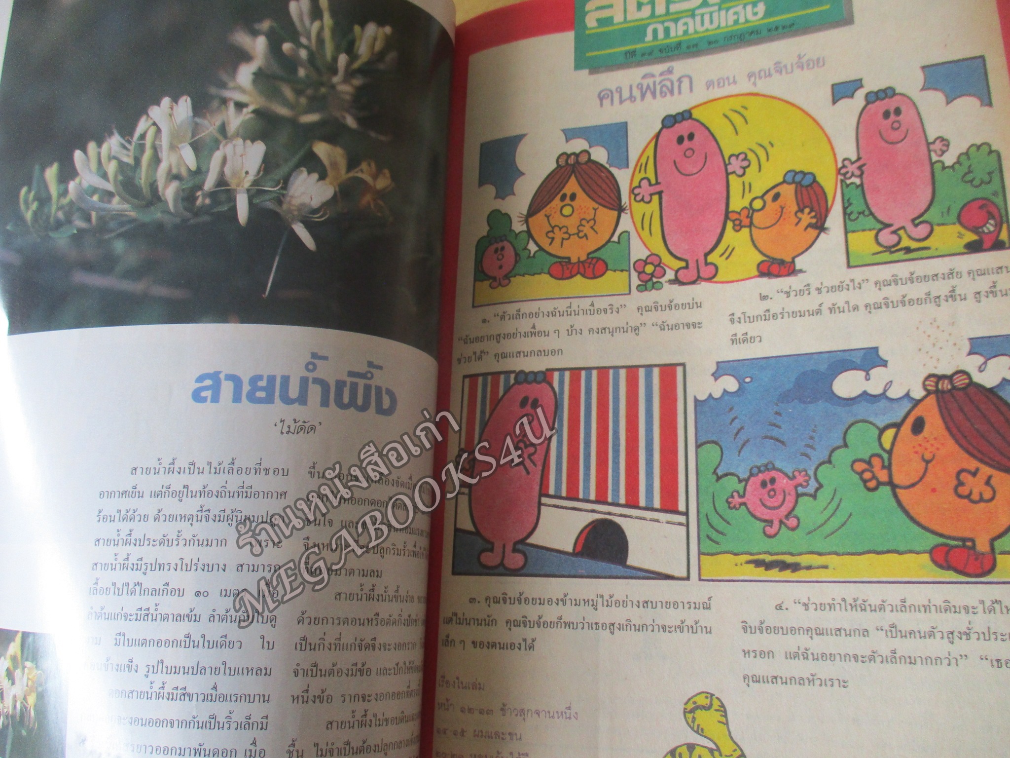 นิตยสารสตรีสาร ปี2529 ฉบับที่17 ปก ธัญญา โสภณ
