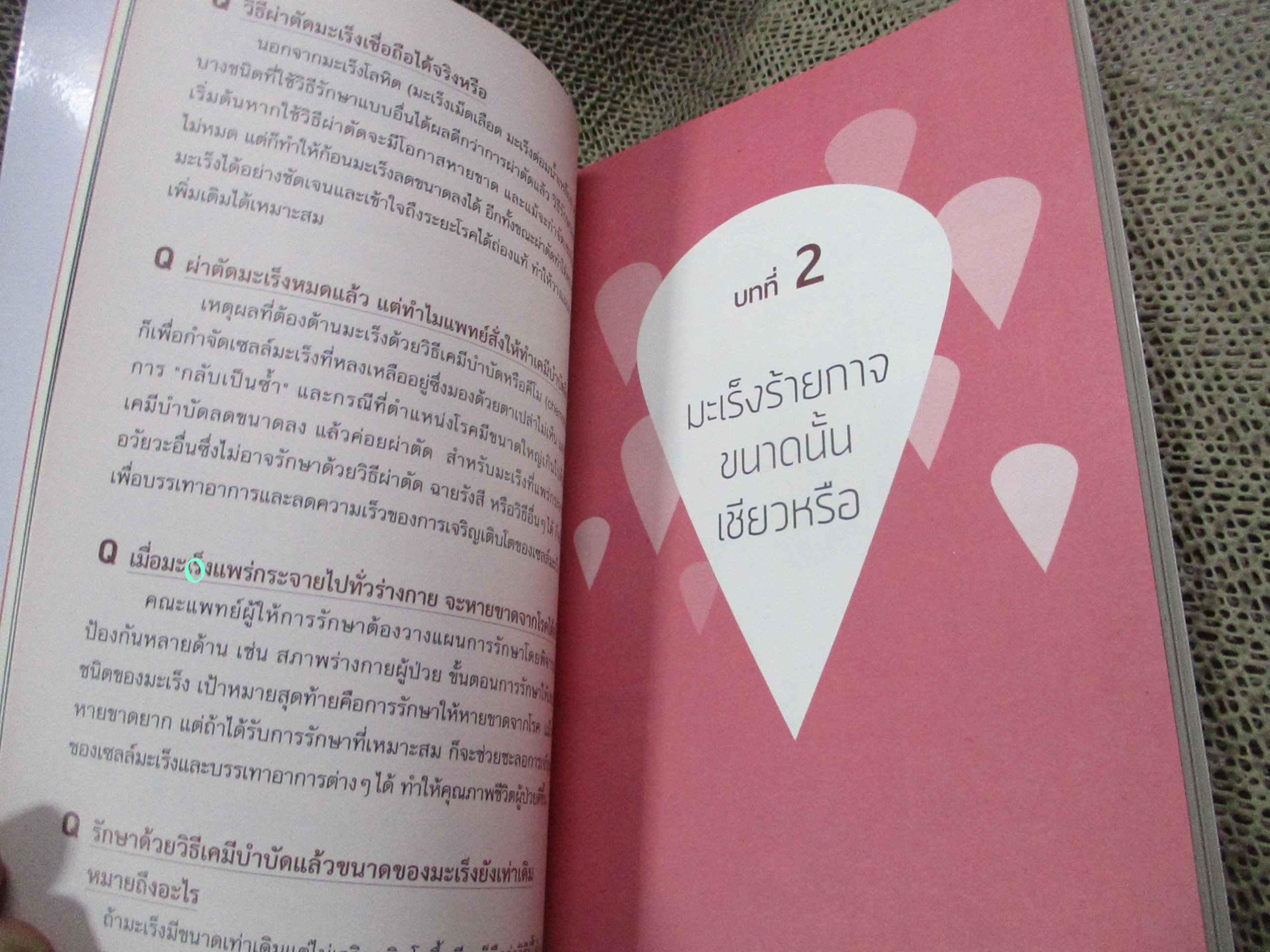 มะเร็งไม่สิ้นหวัง เล่ม1 :มะเร็งเต้านม มะเร็งปอด มะเร็งตับ (การ์ตูนสุขภาพสำหรับผู้ใหญ่ช่วยให้เข้าใจ)