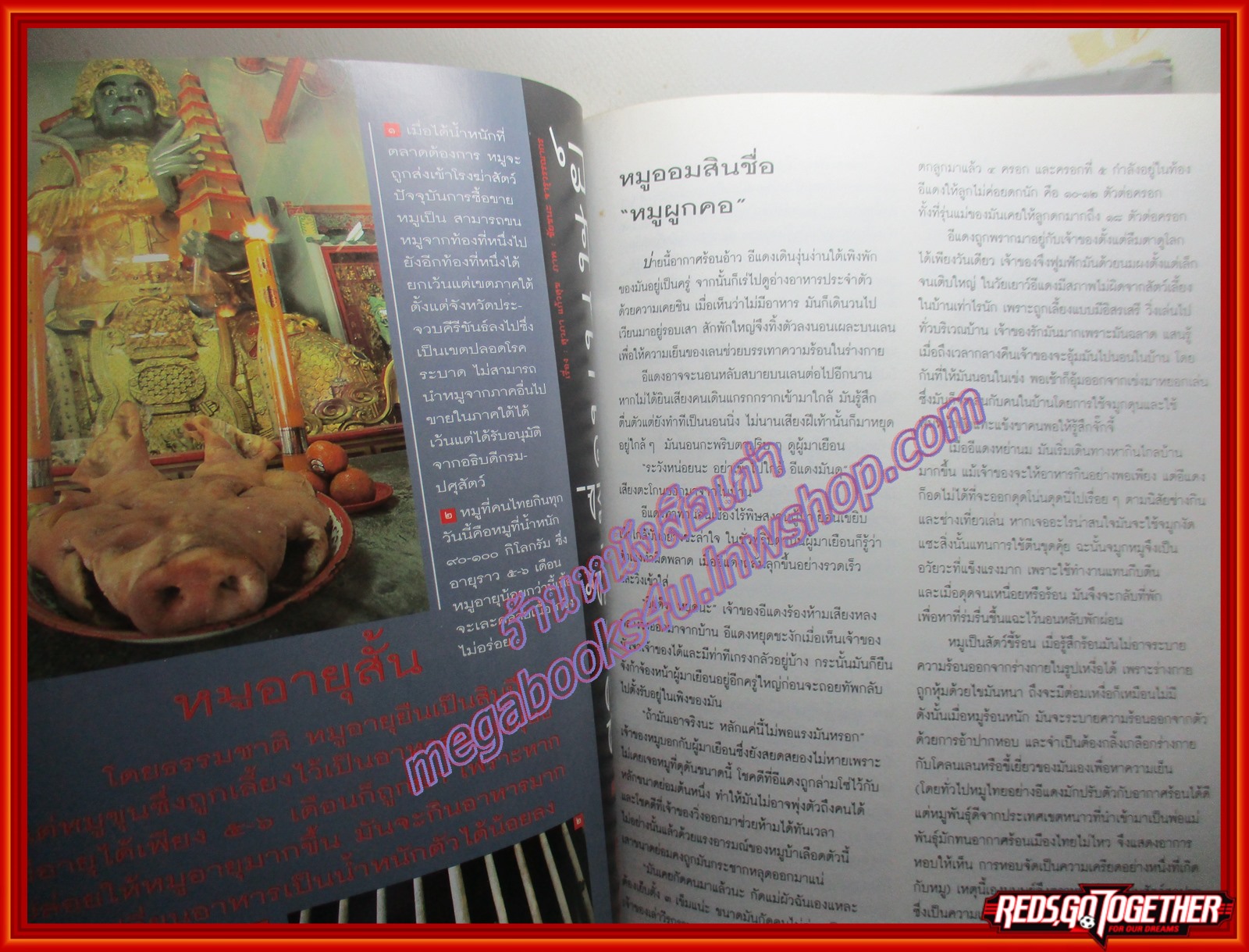 นิตยสารสารคดี ฉบับที่119 มกราคม 2538 + นักษัตรปีมะแม หมูชีวิตนี้เพื่อมนุษย์ ชนชาติจ้วง วอชิงตันดีซี ยะลา