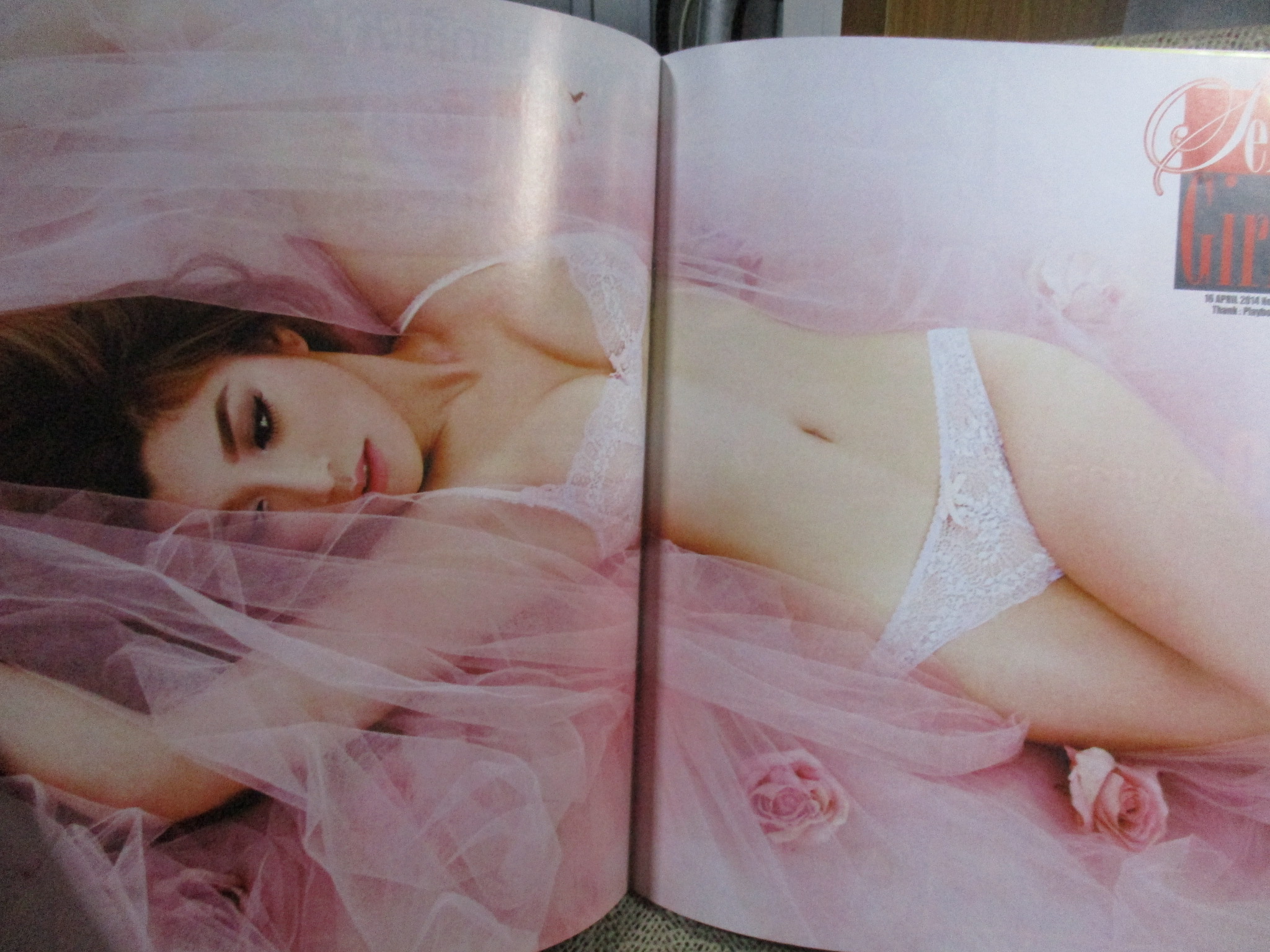 นิตยสาร VCD ไดเจสท์ เล่มที่090 ปี2557 ปก เอมมี่ ไอซ์