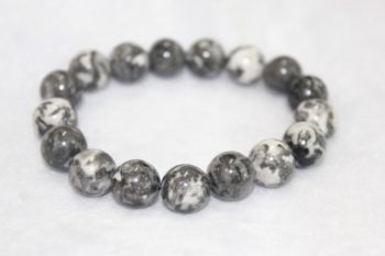 ซีบร้าแจสเปอร์ ( Zebra Jasper )