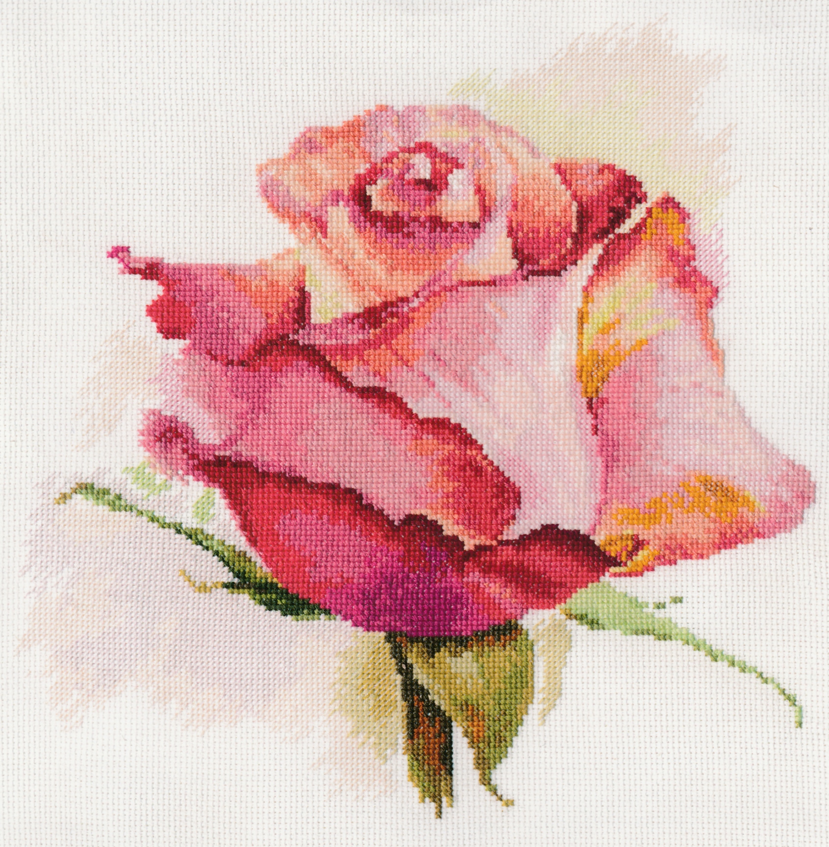Alisa ชุดปัก The breath of Rose.Charm