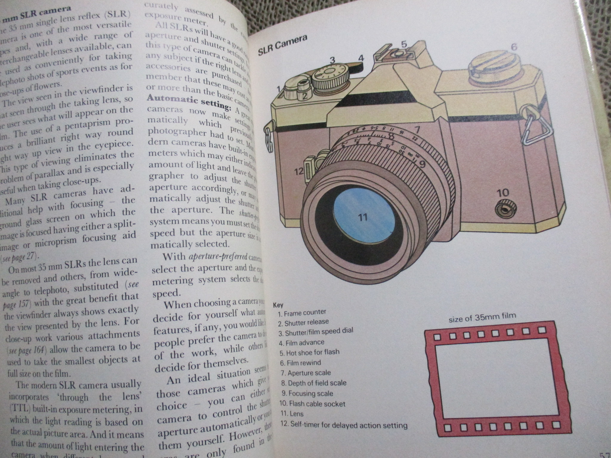 The Young Photographer's Handbook by George Haines (Hardcover) / HAMLYN