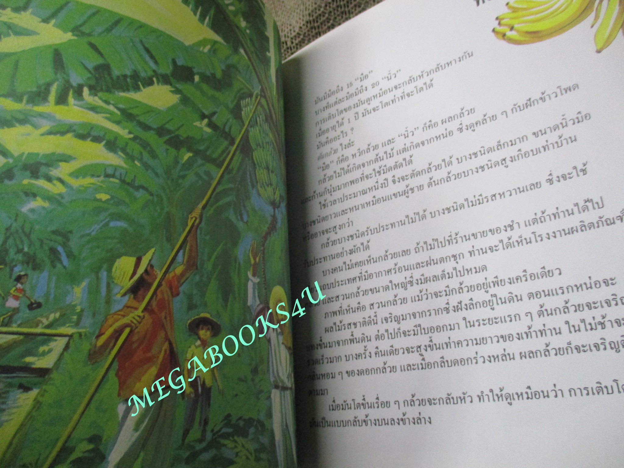 หนังสือ สารานุกรมสำหรับเด็ก เล่ม02 (แยกเล่ม) Britannica Discovery Library สภาพดี