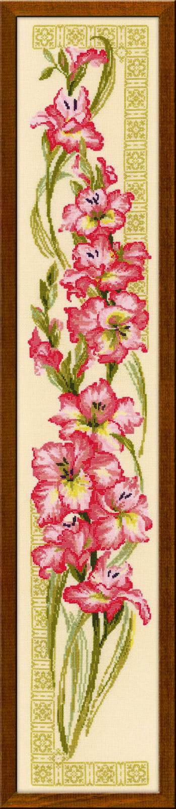 Riolis Gladioli
