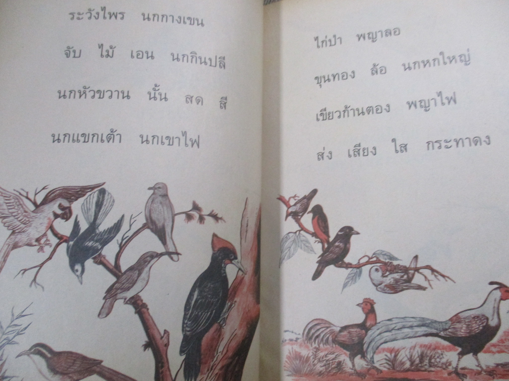 หนังสือฝึกหัดอ่านภาษาไทย เล่ม1 ชุดสระ พยัญชนะ / ปี2528 / สภาพค่อนข้างดี ภายในมีข้อความเขียน 1 หน้า / มีชื่อเจ้าของที่ปกรองด้านใน /