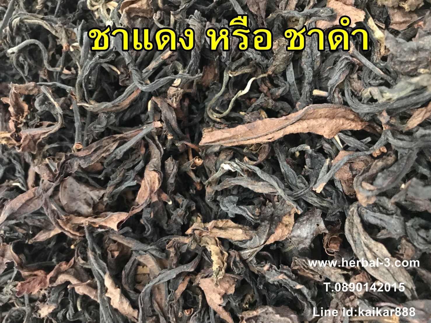ชาแดง หรือชา ดำ (กิโล)