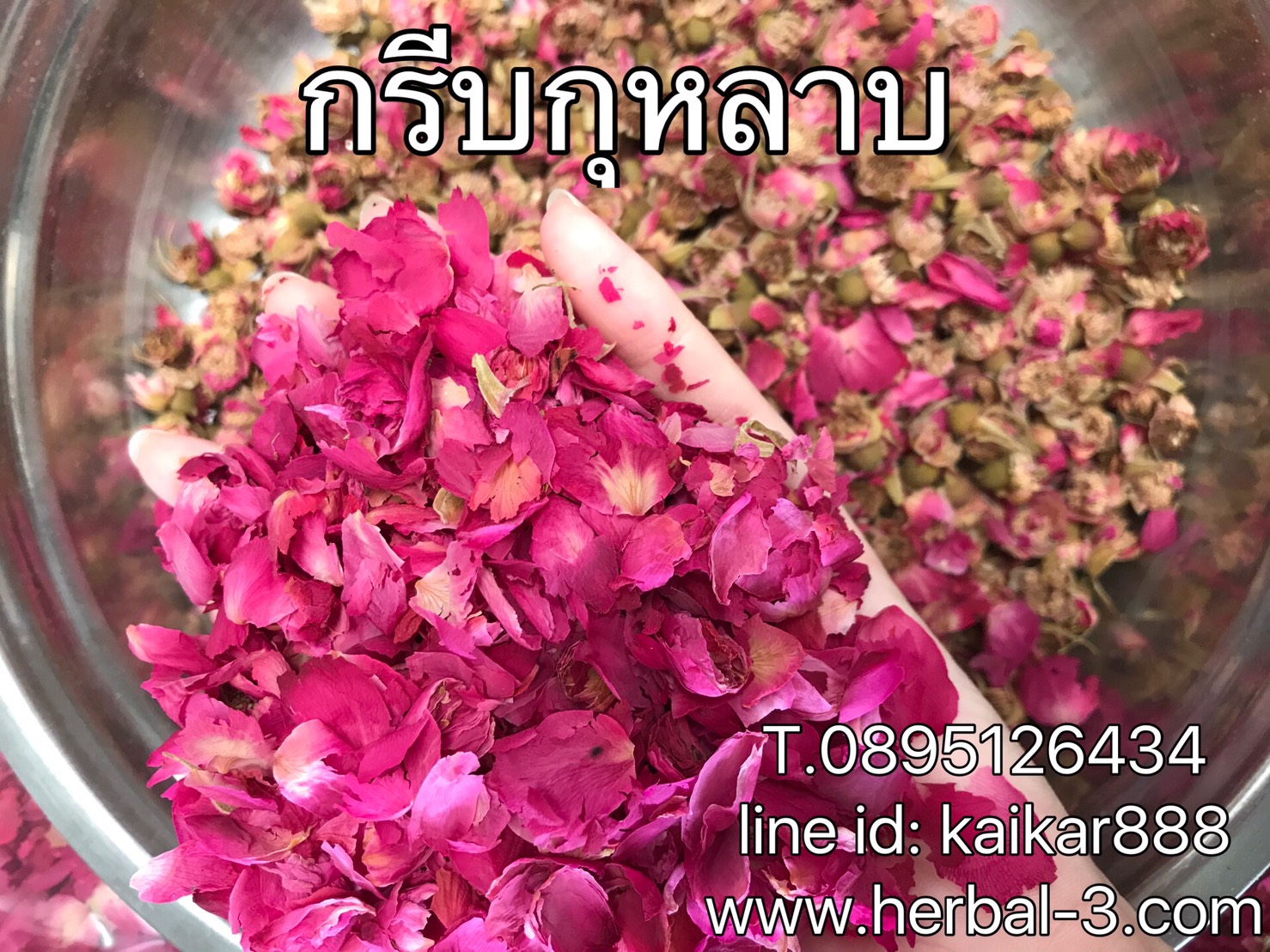 กลีบกุหลาบล้วน (งานสั่ง) 100 กรัม