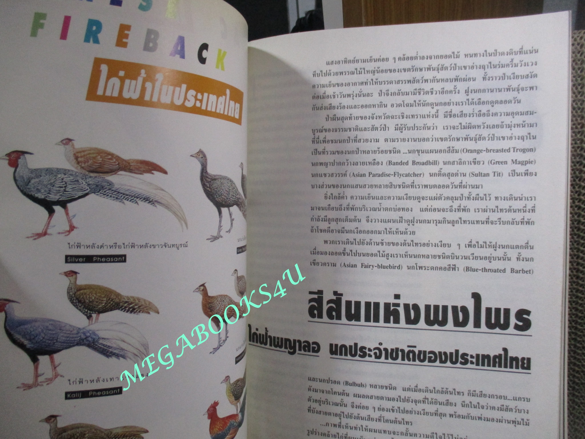 นิตยสารสารคดี ฉบับที่094 ปี2535;ไก่ฟ้าพญาลอ,เที่ยวทุ่งลงข้าว,60ปีสวนโมกข์,เที่ยวเชียงใหม่