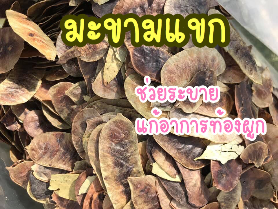 ฝักมะขามแขก