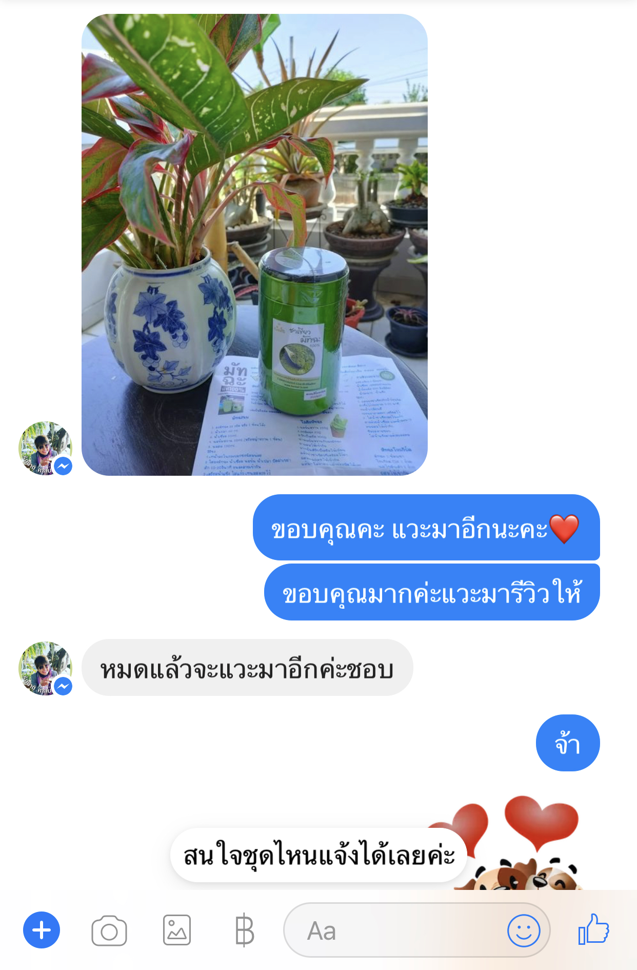 รีวิวมัทฉะ 2