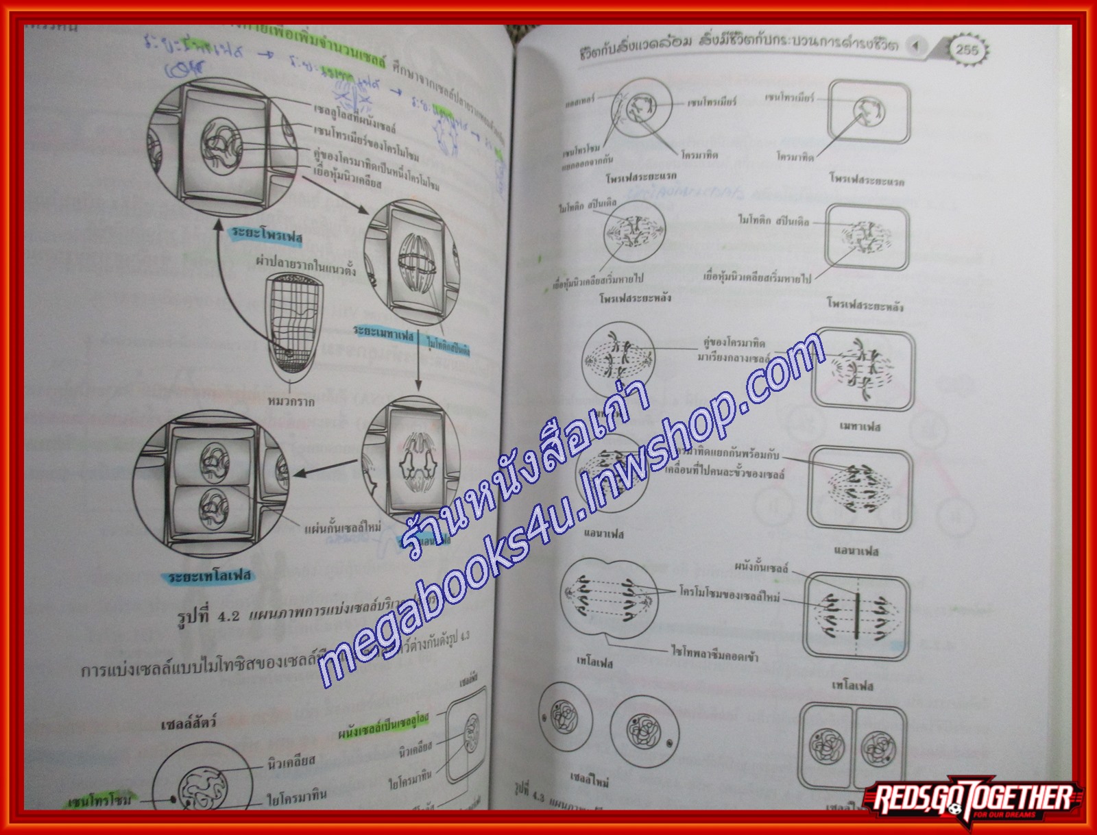 คู่มือเตรียมสอบ เฉลยแนวข้อสอบ วิทยาศาสตร์ ฉบับพิชิต O-NET ม.6 (มือสองบ้าน) (สภาพ80-90%)